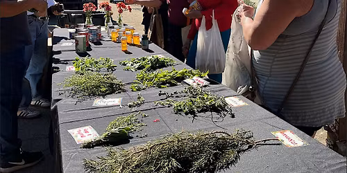 Crop Swap at Jeff Seymour Family Center