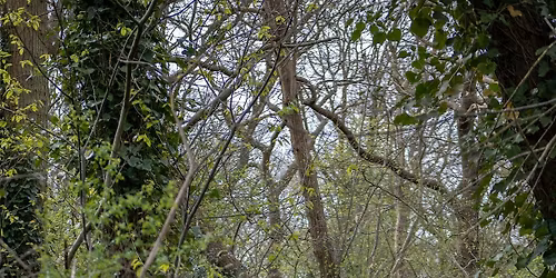 Wogebourne River Walk