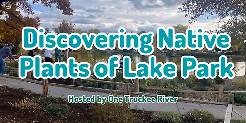 Discovering Native Plants of Lake Park