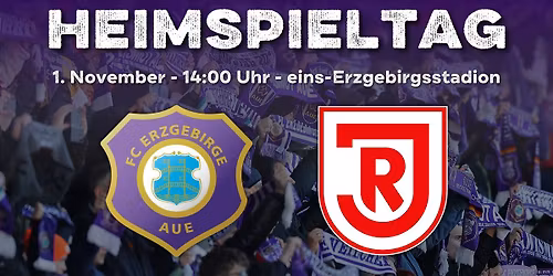 FC Erzgebirge Aue - SSV Jahn Regensburg - 13. Spieltag Saison 25\/26
