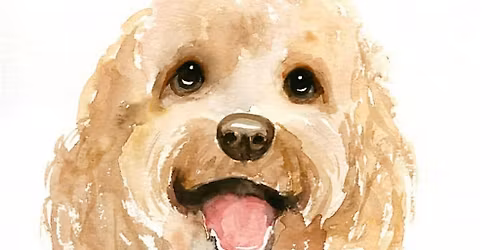 Pet Portraiture