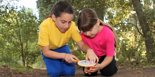 Woodland Explorers - Scavenger Hunt