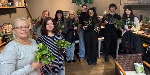 Plant Bingo Windsor Shop