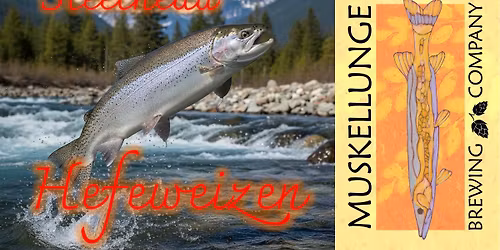 Steelhead Hefeweizen Release