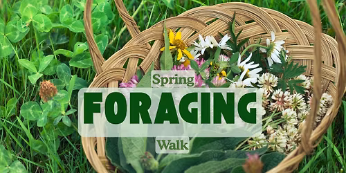 Spring Foraging Walk