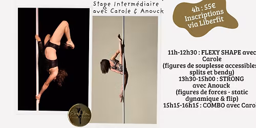 stage pole dance Interm\u00e9diaire - 4h00