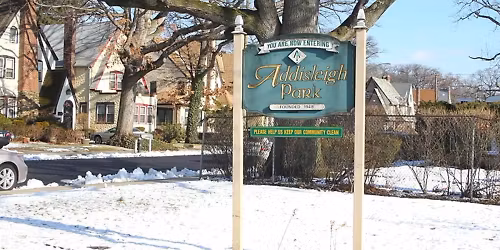 Parking The Billie Holiday Project