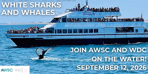 Expedition White Sharks and Whales