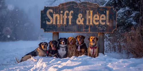 Zimn\u00ed Sniff&Heel dog camp