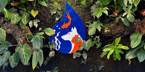 How to run gas Co2 in an aquarium