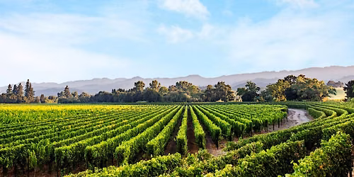 Chart House - Caymus Wine Dinner - Dana Point 11\/4