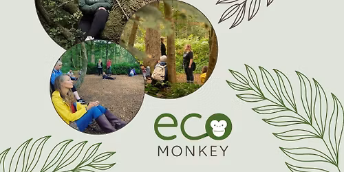 Spring Equinox Forest Bathing Walk