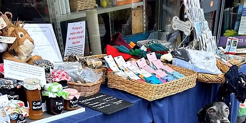 Forever Hounds Trust at Bristol Vegan Fayre