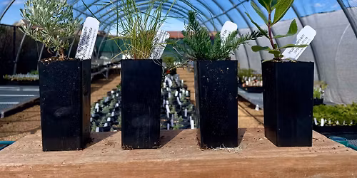 Open Nursery Sale