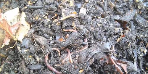 Community Composting at EL Garden with Big Reuse