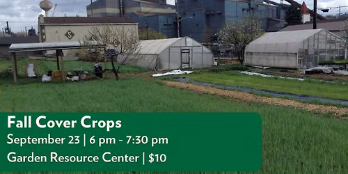 Fall Cover Crops