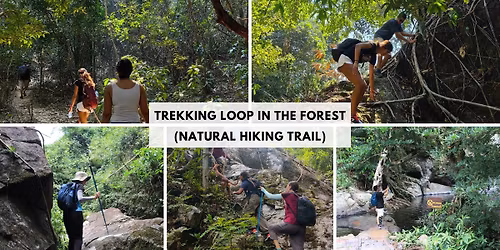 Trekking Loop In the Forest