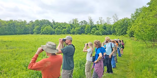 First Friday Bird Hikes