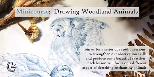 MINICOURSE: Animal Sketching for Beginners, Eindhoven