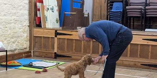 Perfect Puppy Lifeskills 6 week Course with Mia - For puppies between 12-20 weeks old