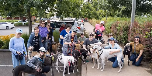 Tualatin Community Park