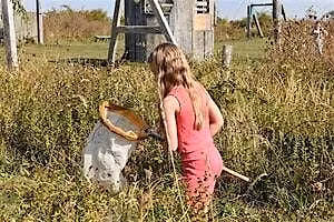 Abberton summer nature detectives