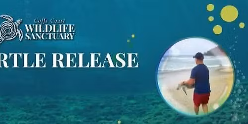 Turtle Release