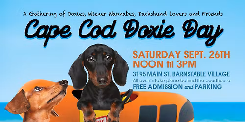Cape Cod Doxie Day