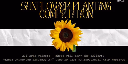 Sunflower Planting Competition!
