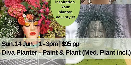 Diva Planter - Paint & Plant (Med. Plant incl.) 