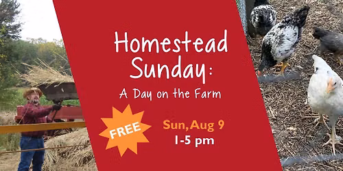 Homestead Sunday: A Day on the Farm