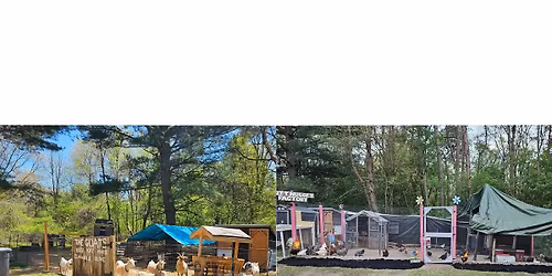 Farm swap @ Family Farm and Home 