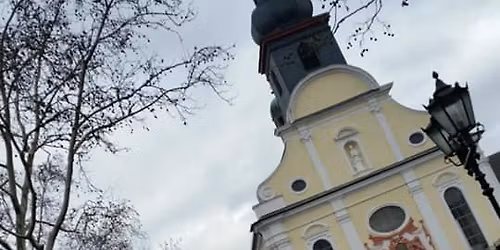 Fastnachtsumzug durch Frankenthal 2026