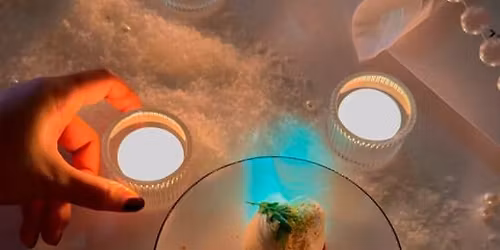 House Of Strauss - Silvester Gala