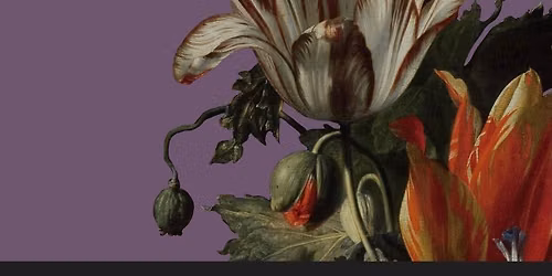 Ashmolean - In Bloom