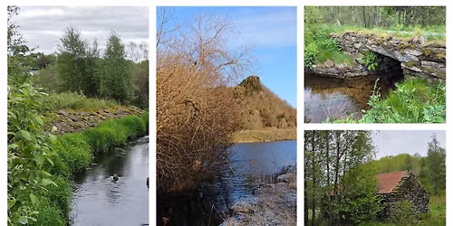 Guidet elvevandring med Dalelvens venner etappe 4
