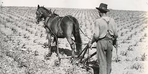 Perspectives: Who is a Farmer?