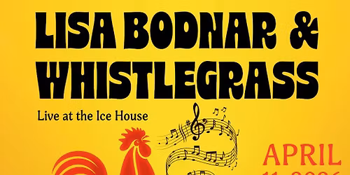 Lisa Bodnar and Whistlegrass present Y411 Multimedia Production at the Icehouse 