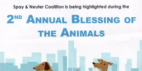 Blessing of the Animals