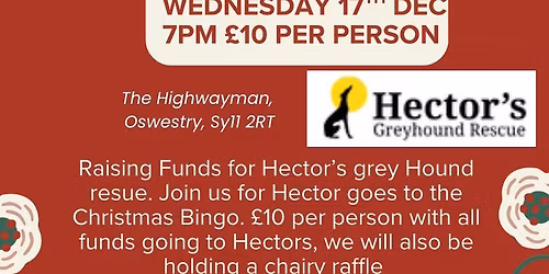 Charity Christmas Bingo Night 