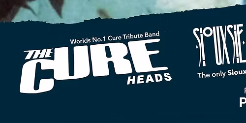 The Cureheads & Siouxsie and the Budgiees