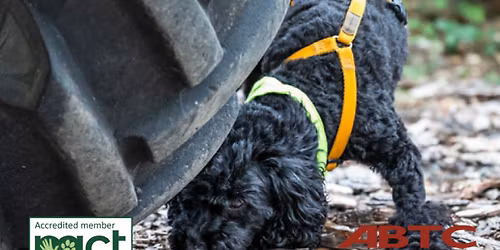 6 week Beginners Scentwork (Monday evening)