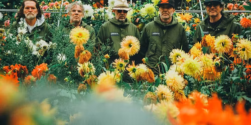 Super Furry Animals + Baxter Dury, Los Campesinos!, Divorce & Pys Melyn | York Museum Gardens