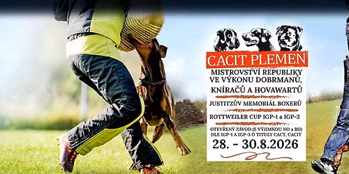 CACIT PLEMEN 2026