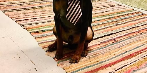 Milon syntym\u00e4p\u00e4iv\u00e4