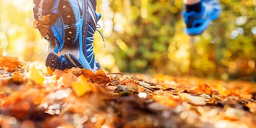 The Salty Stride - Beyond Salt Spa Group Run