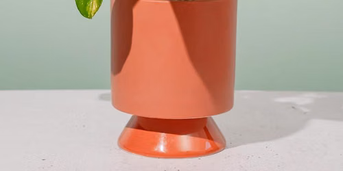 Felt Planter Eyeballs (Evening)