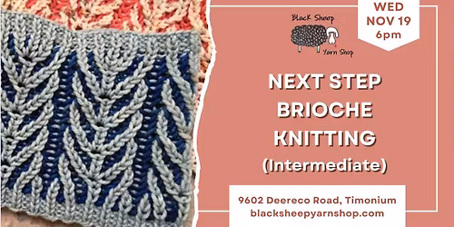 Next Step Brioche Knitting (Intermediate)