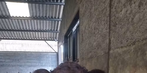 F\u00eates de l'\u0153uf organiser par le comit\u00e9 des f\u00eates de Chevillons