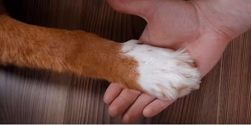 Nail Clipping Clinic